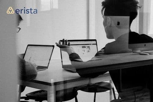 Erista Article Image