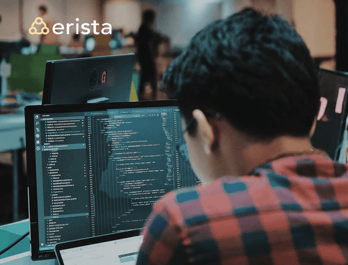 Erista Article Image